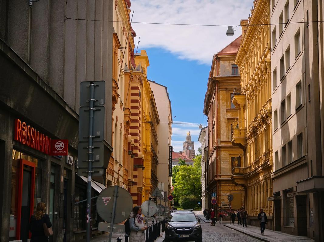 啄木鸟 视频 鸟视调皮捣蛋的啄木啄木鸟