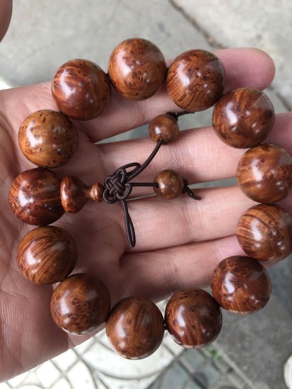 啄木鸟 字幕 精美画面的鸟字影片而闻名