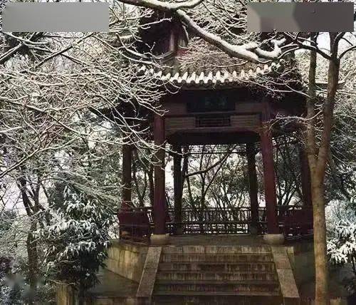 火影视频 关键：建议按顺序观看1-135话