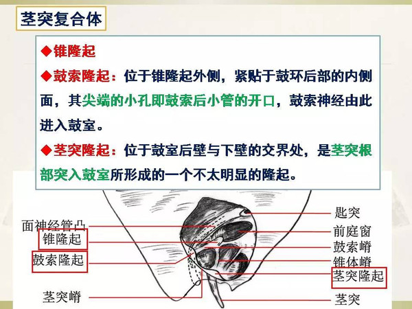 午夜酥酥影院 午夜我非常乐意为你提供帮助
