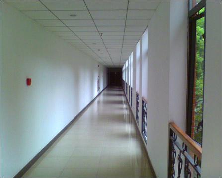 麻豆传煤官网APP入口在线网站免费 可能是麻豆免费平台还没上线