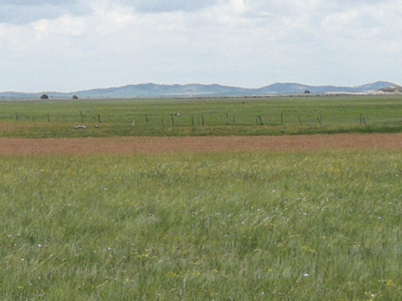 ialnuyoa_h视频 极具爆发力和感染力