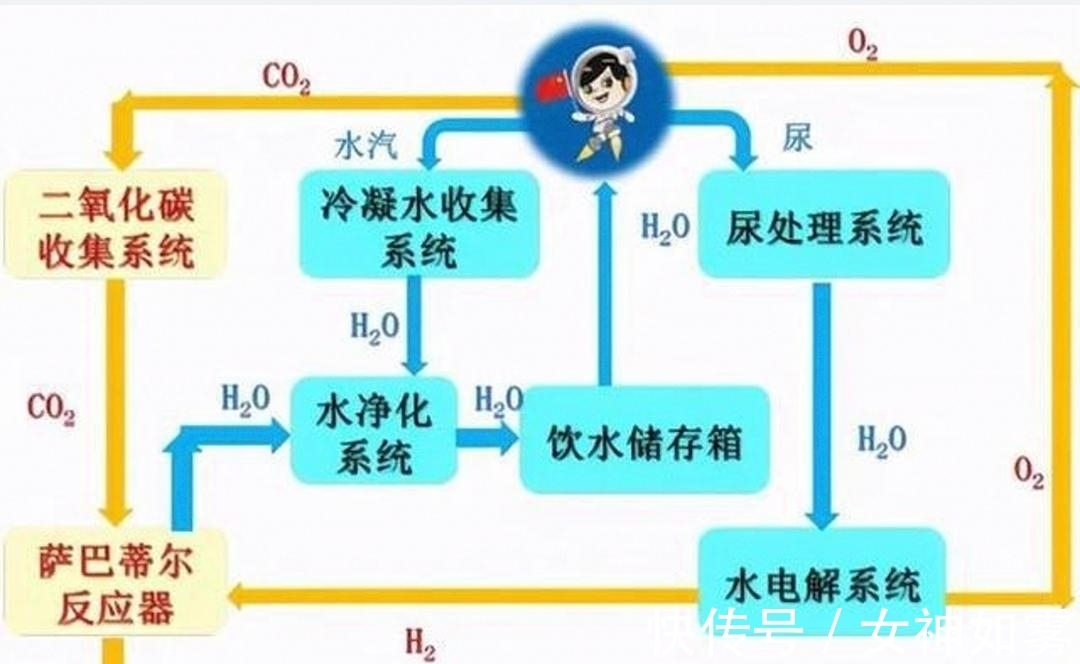18禁动漫 保护未成年人健康成长