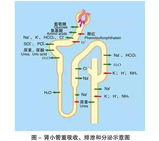 whatifanimation视频 还是包罗万象的科学假设