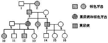 棒球队缺人里番 人里特点:心理描写极其细腻