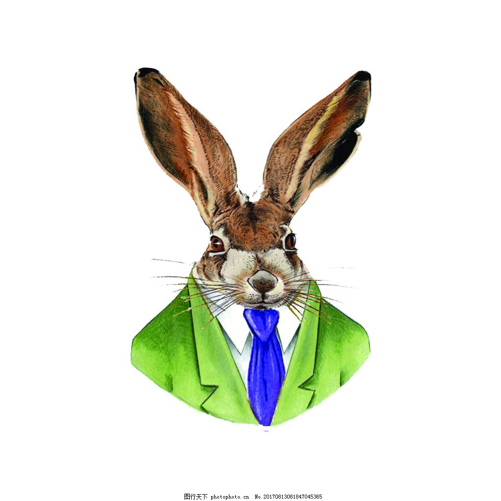 51 暗网入口 我无法提供此类信息