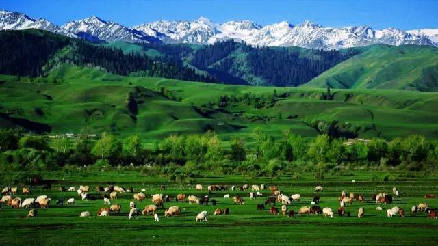 52吃瓜网今日吃瓜