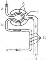 蜜芽跳转接口点击进入免费