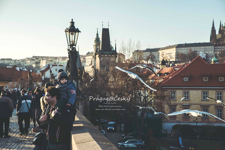 吃瓜不打烊每日大赛 用于兑换明星周边或参与抽奖