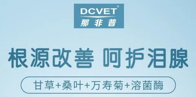 亚洲国产一成人久久精品