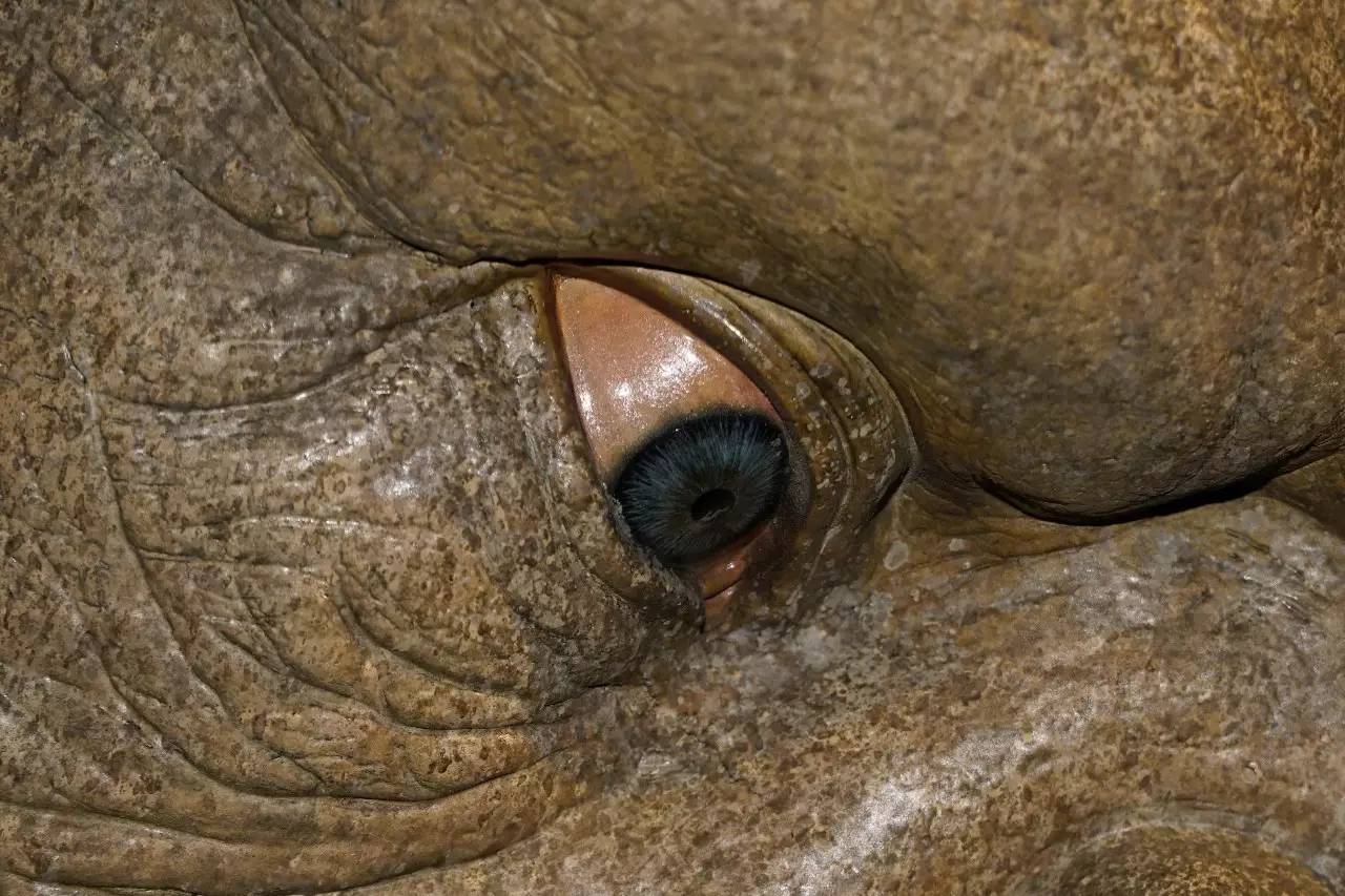 gv网站 网站该平台采用云端SaaS模式