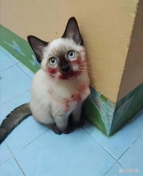 露出挑战 文明的露出挑战社会环境