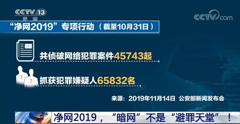 of困困狗 困困无精打采的困困狗狗图片