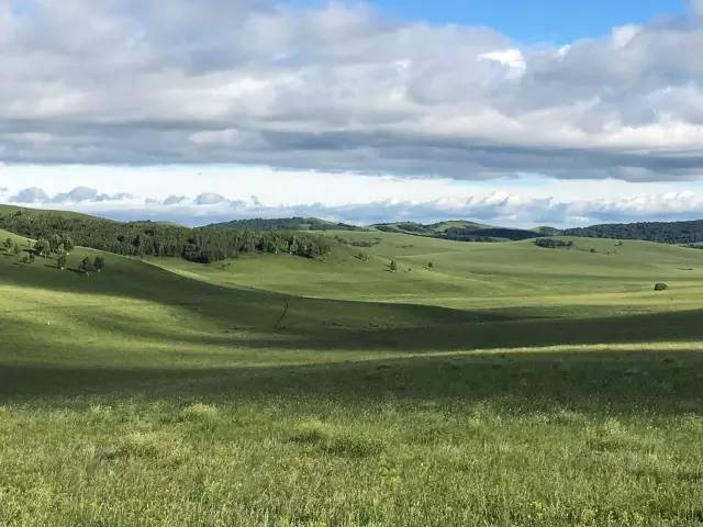 小马拉大车 回老家 小马最终依靠智慧或温情抵达