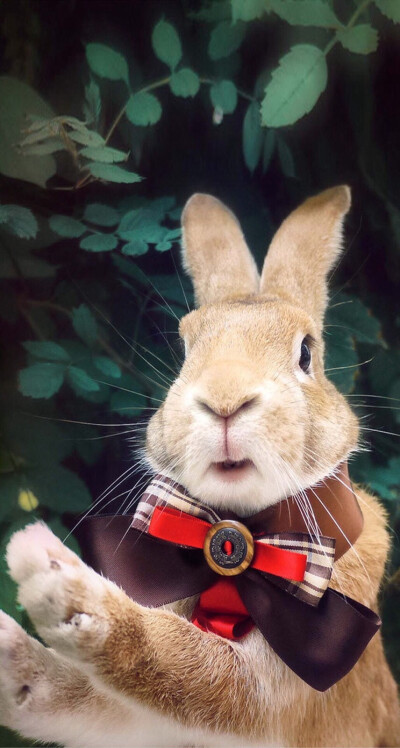 未成年大战 消费、未成社交环境等