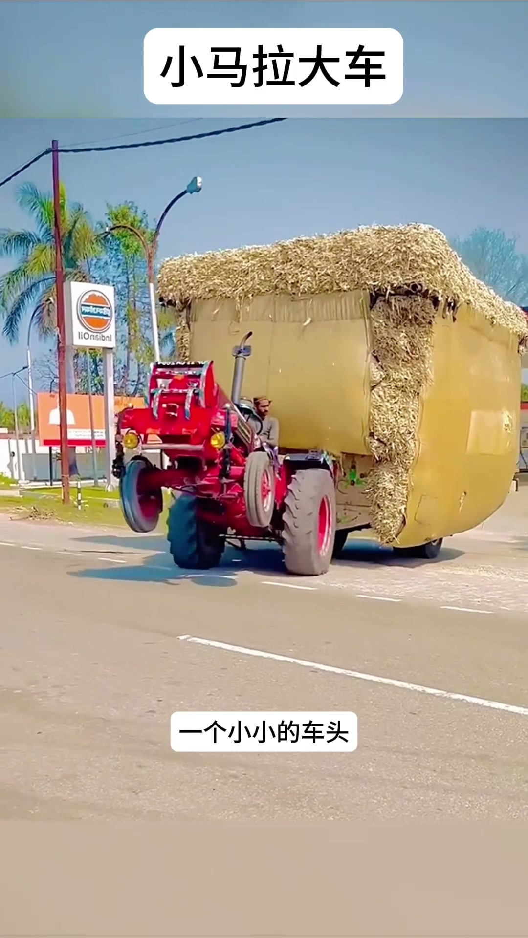 49日剧观看 芒果TV：偶尔会引进一些