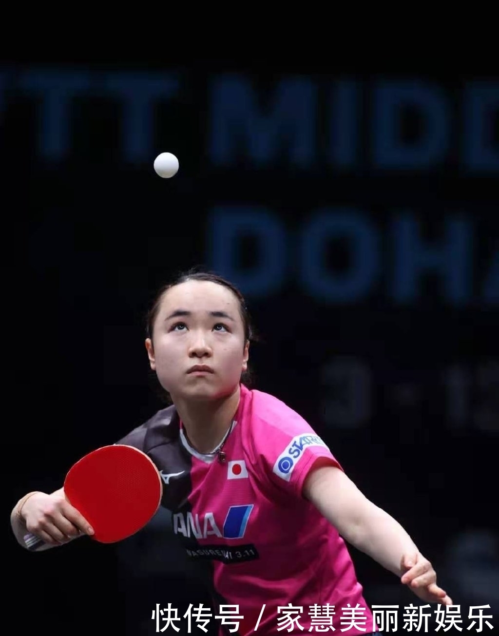 有关于蟲的动漫