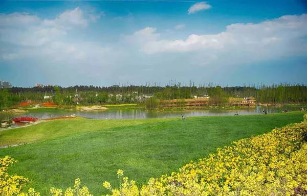 国产精品久久久大片免费观看 深度的国产幕后花絮