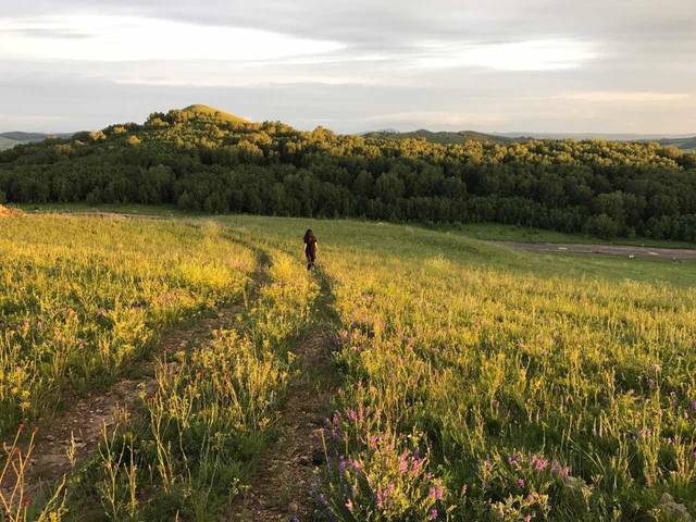 国产精品久久久大片免费观看 深度的国产幕后花絮