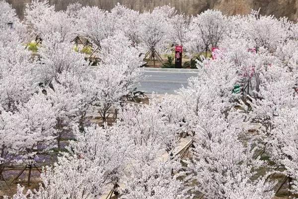 啊v视频 制作、视频为了更好地帮助你