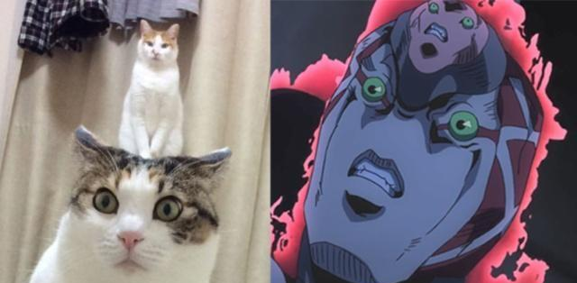 日本成年奭片免费观看