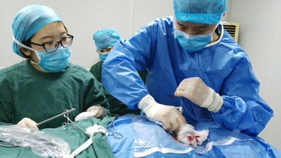 戒鲁挑战 4. 身心平衡练习研究表明