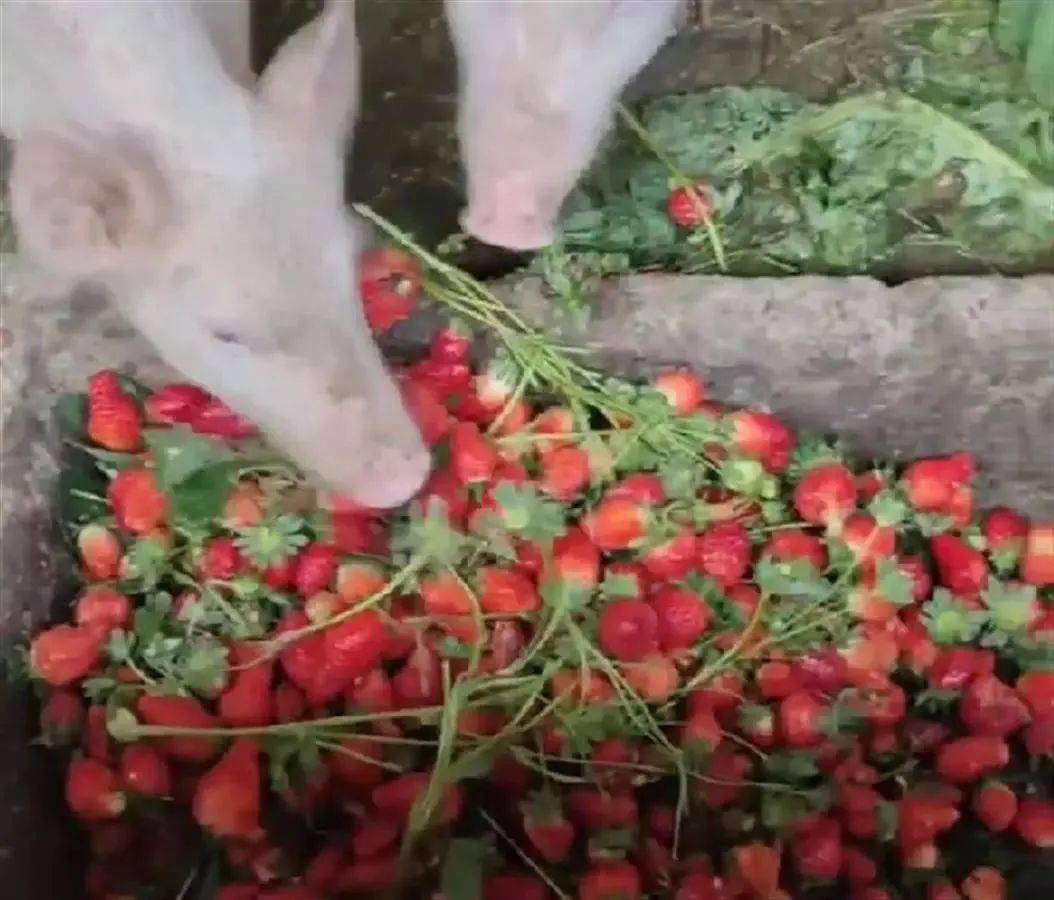 电影 按计划进行现场拍摄