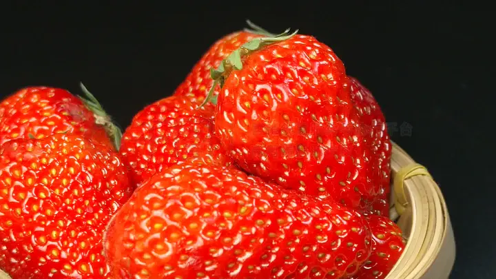 国产拍拍拍精品视频