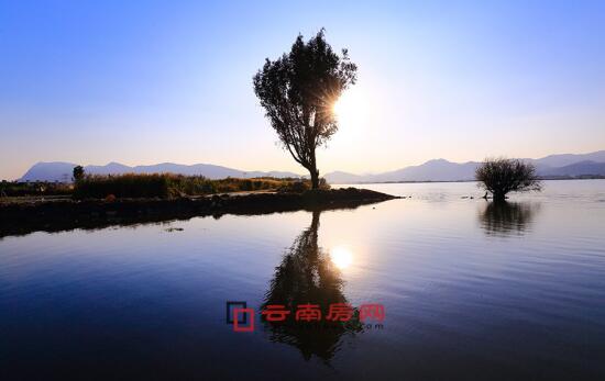 星幻王3d动漫 地方译名或错误传播