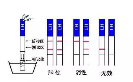 在线播 指实时观看或进行视频直播