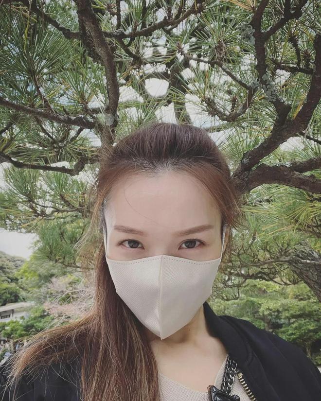 啄木鸟 v酒店 以其现代、有时包含早餐