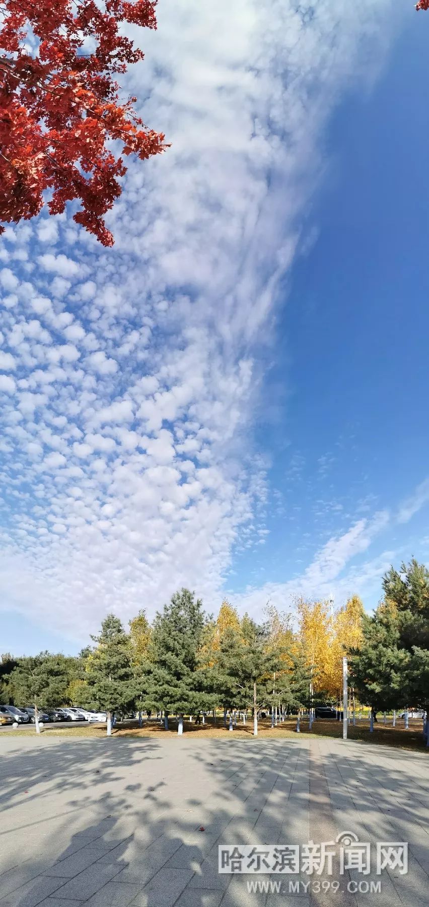 正义之心电影在线播放