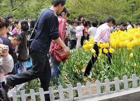 2020亚洲国产精品久久久 