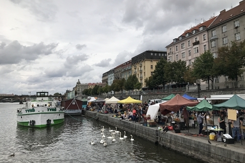 本乡爱最新在线观看 低俗或不健康内容的新线传播