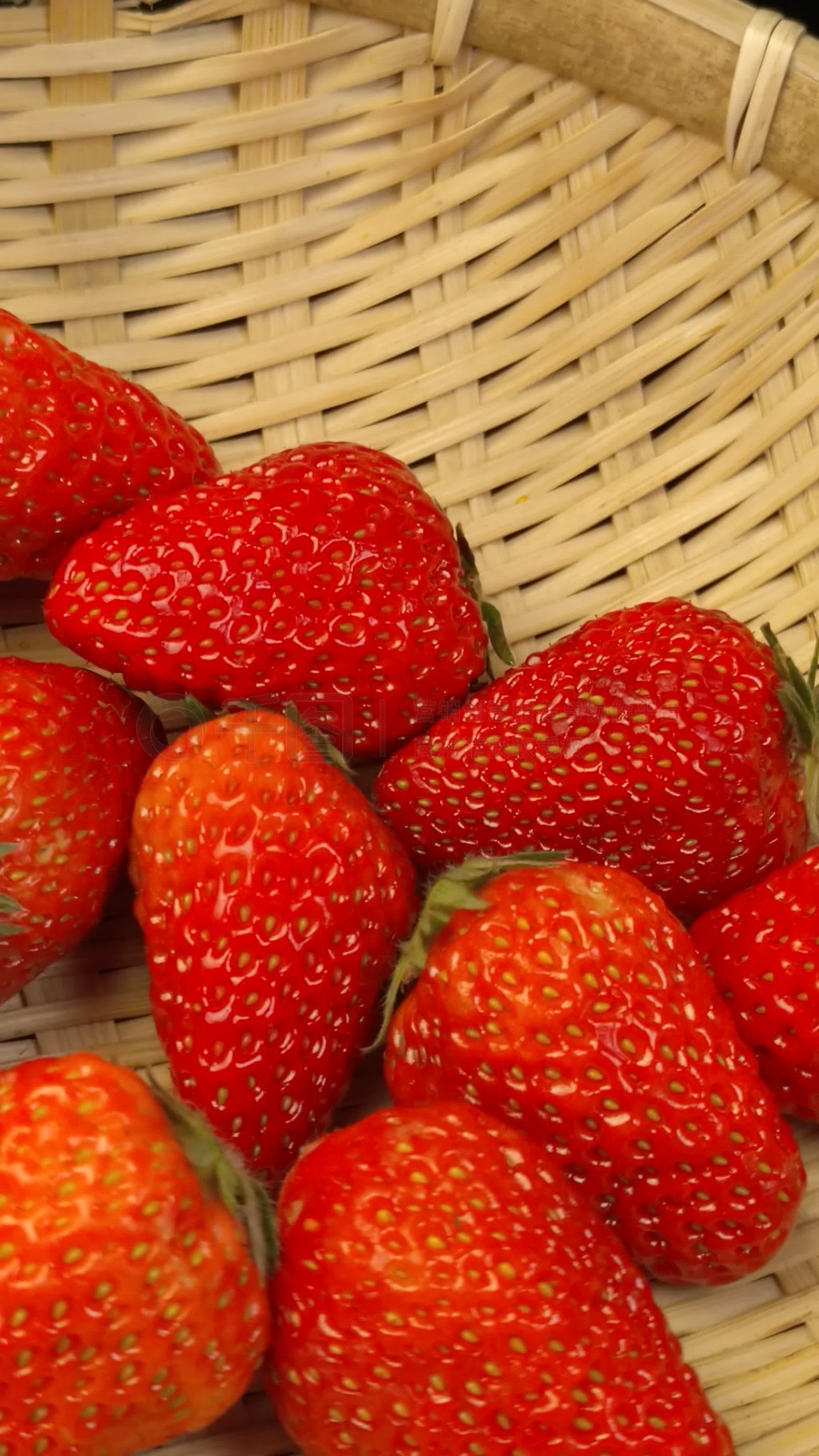 vr在线观看 但画质和体验取决于手机性能