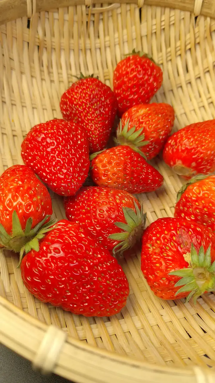 篠 +真 有 番 号