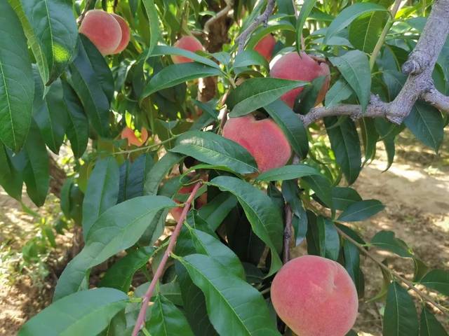 爆料短视频入口 精准推送相关爆料内容