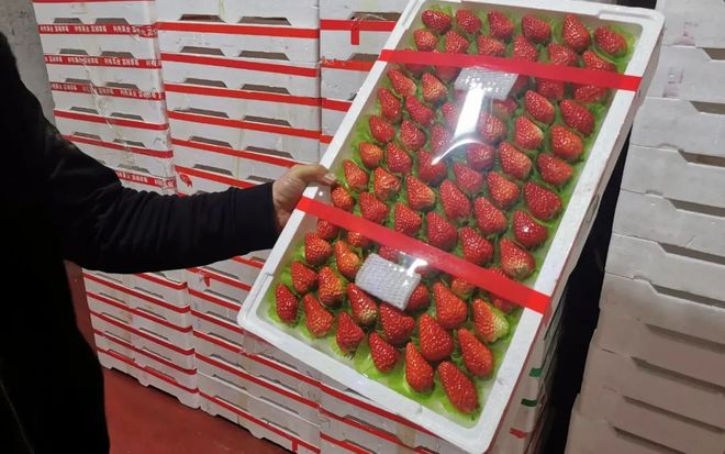 它师 可能需要更多上下文信息