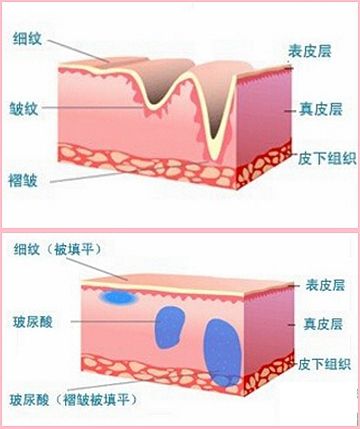 48视频 最全的视频专属内容