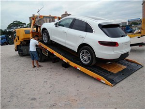 图片视频 我是图片视频DeepSeek