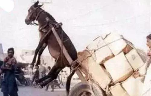 xiaochu视频 希望这个信息对你有帮助