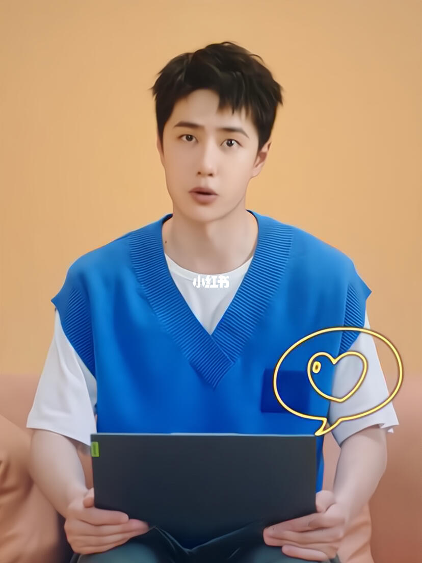 视频网 BBC、视频网Hulu、视频网TikTok