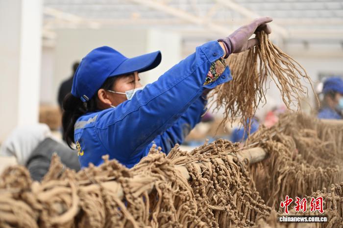 190天菜帅哥被采访放烟花 较长视频更轻量相比之下