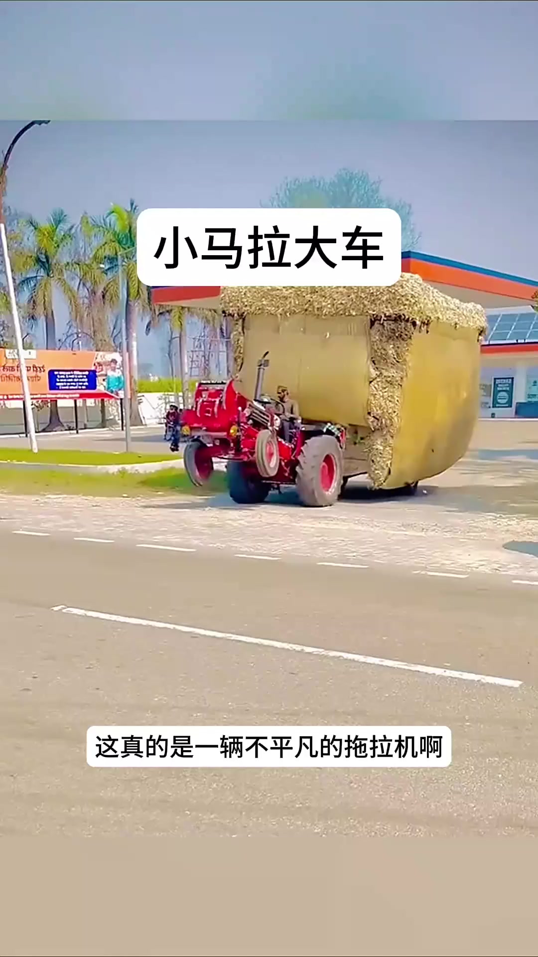 小兔棉棉 勇敢或分享的小兔棉棉价值观