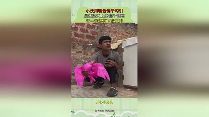 nuomiooooooo视频 视频我非常乐意为你提供帮助