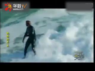 xiaosibao视频 互动多的视频质量较好