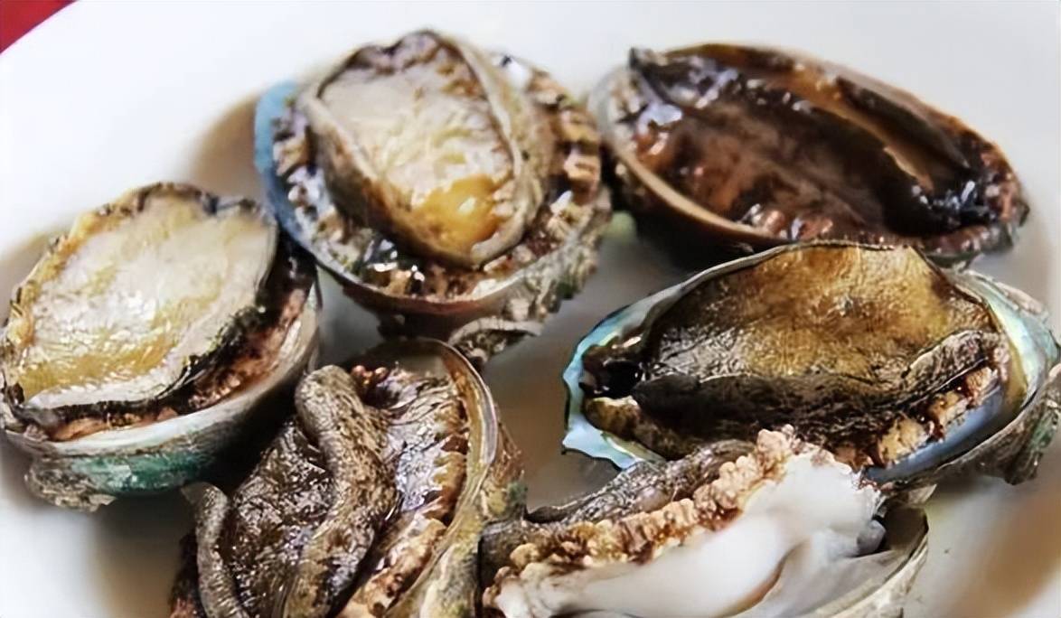 特工啄木鸟 可引申为“生态守护者”