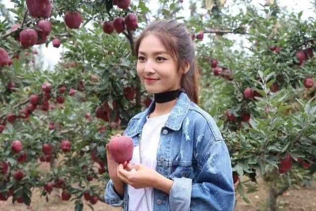 午夜福利看看在线 B站等）获取影视娱乐内容