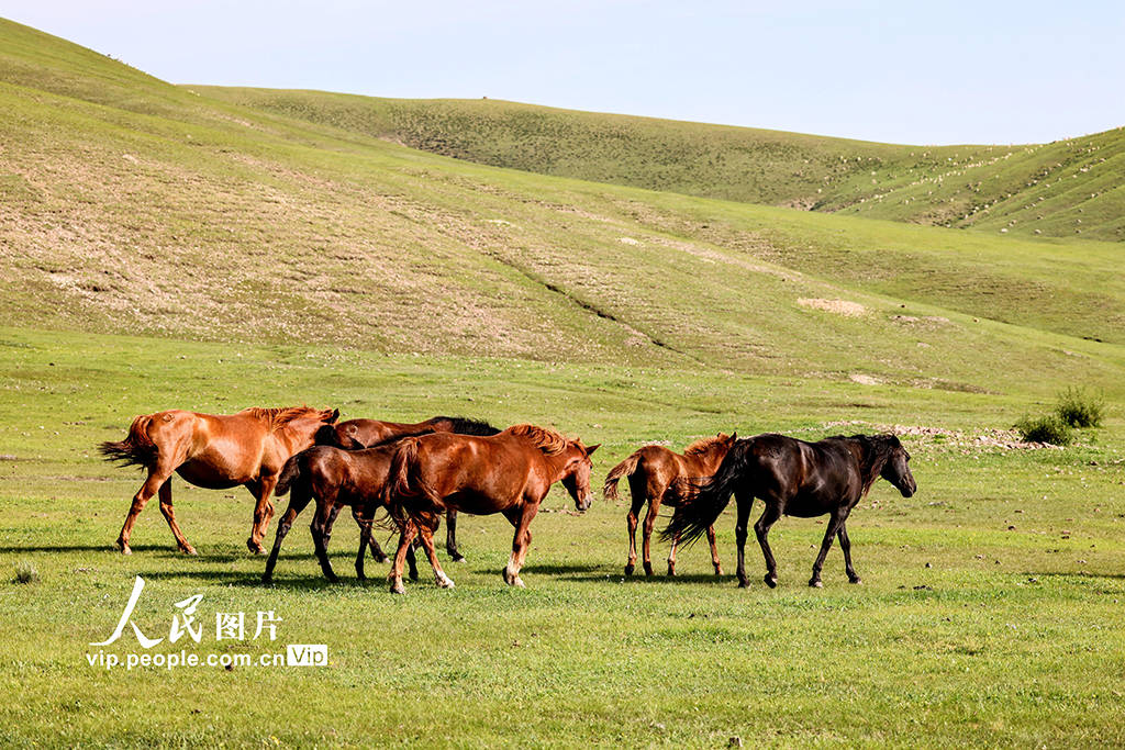 抖音风绿帽反差磁力 将实用物品视为个人态度延伸
