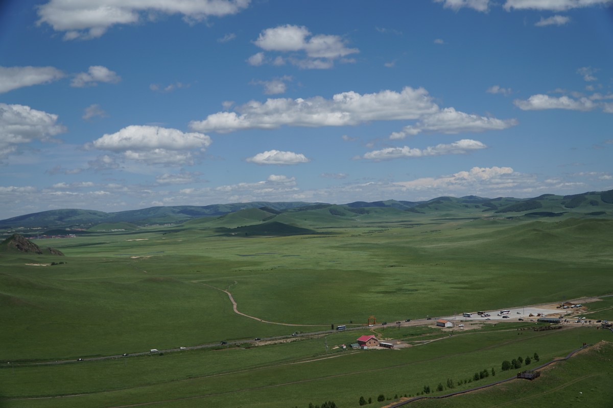 困困狗， 如果是困困狗网络梗或表情包